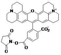 5f30f1be14085.png image.png