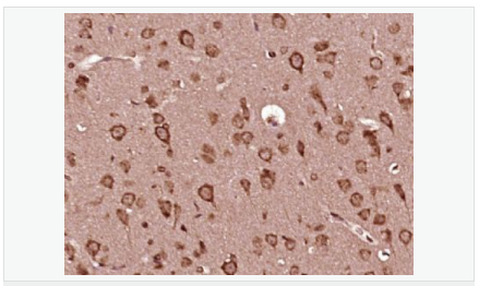 6052b02e96bef.png image.png