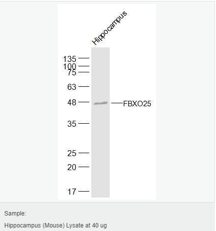 6052b9e0c0266.png image.png