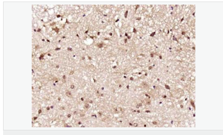 6052bb7f1a58a.png image.png