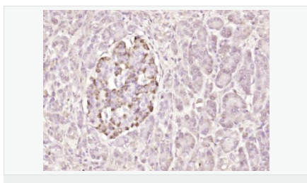 605802bc60c2e.png image.png