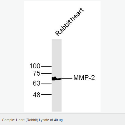 60580601be6ae.png image.png