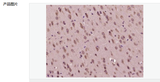 60582dc2ca47f.png image.png