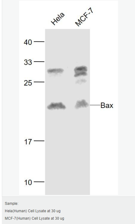 6058511304524.png image.png