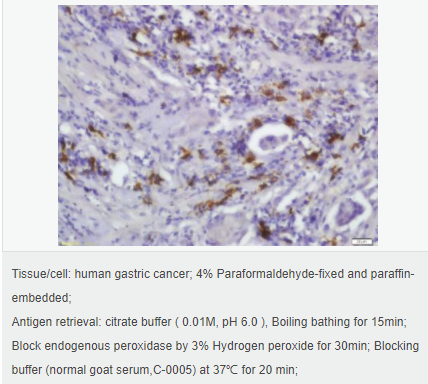 6059457564898.png image.png