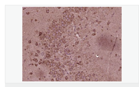 60598b754bc18.png image.png