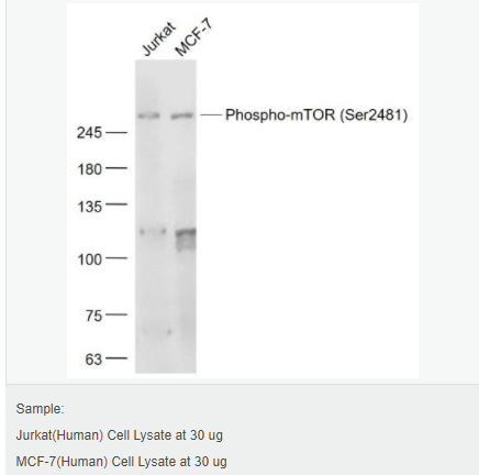 605992ecec351.png image.png