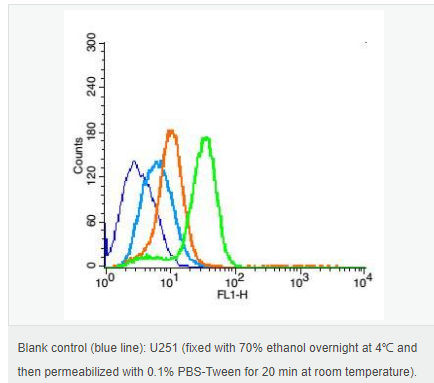 6059977837266.png image.png