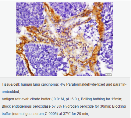 60599c7e0cac5.png image.png