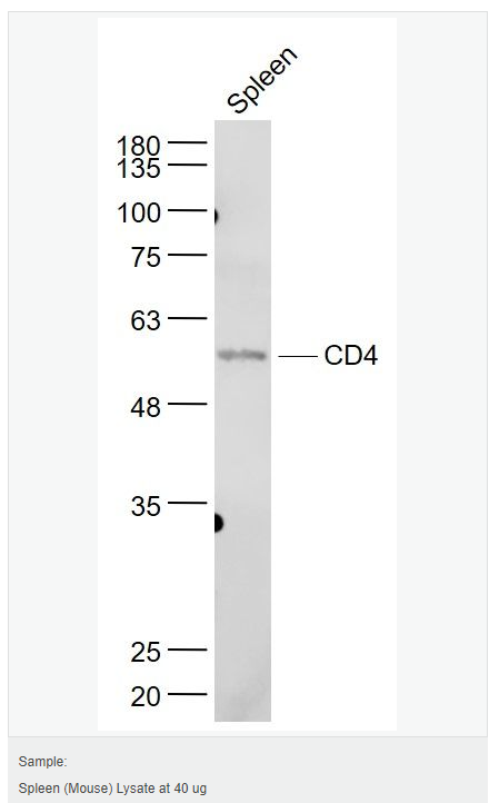 605c3ecc877c9.png image.png