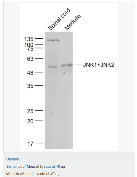 605d85e370013.png image.png