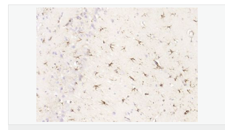 60612c13b7908.png image.png