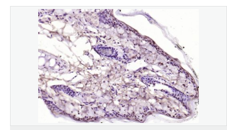 606531f5bbc61.png image.png