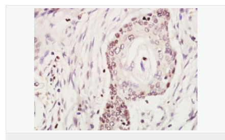 60653213df08c.png image.png