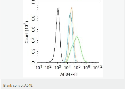 60656d8fae6db.png image.png