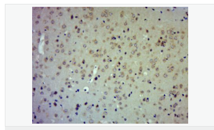 60656f85f00f2.png image.png