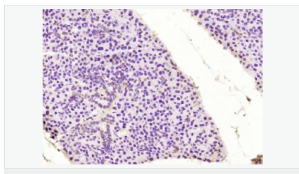 6066ae3862536.png image.png