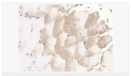 6066cdb1c3d59.png image.png