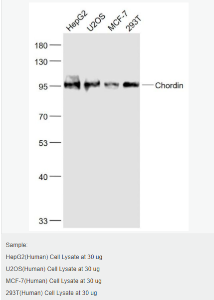 6066db5e95750.png image.png