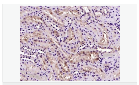 606bc46d10246.png image.png