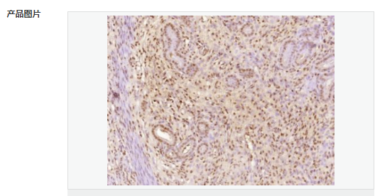 606bc7c8e327b.png image.png