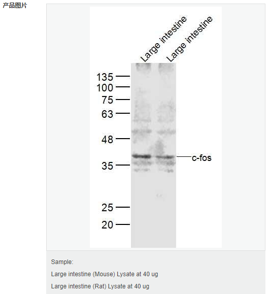 606bce2545133.png image.png