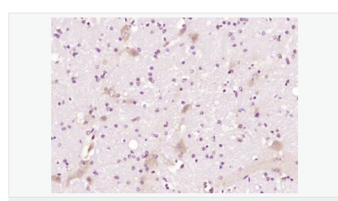 607794b2163fe.png image.png