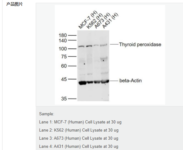 6078e5a8c2944.png image.png
