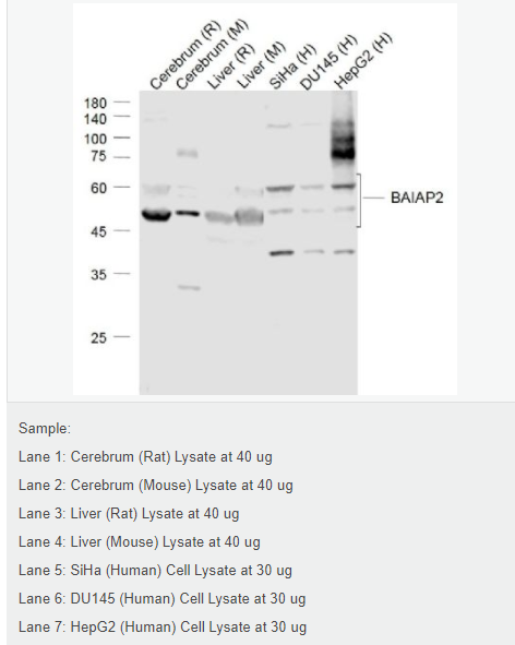 60792fc244019.png image.png