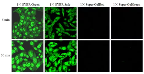 6462d37cca96c.png image.png