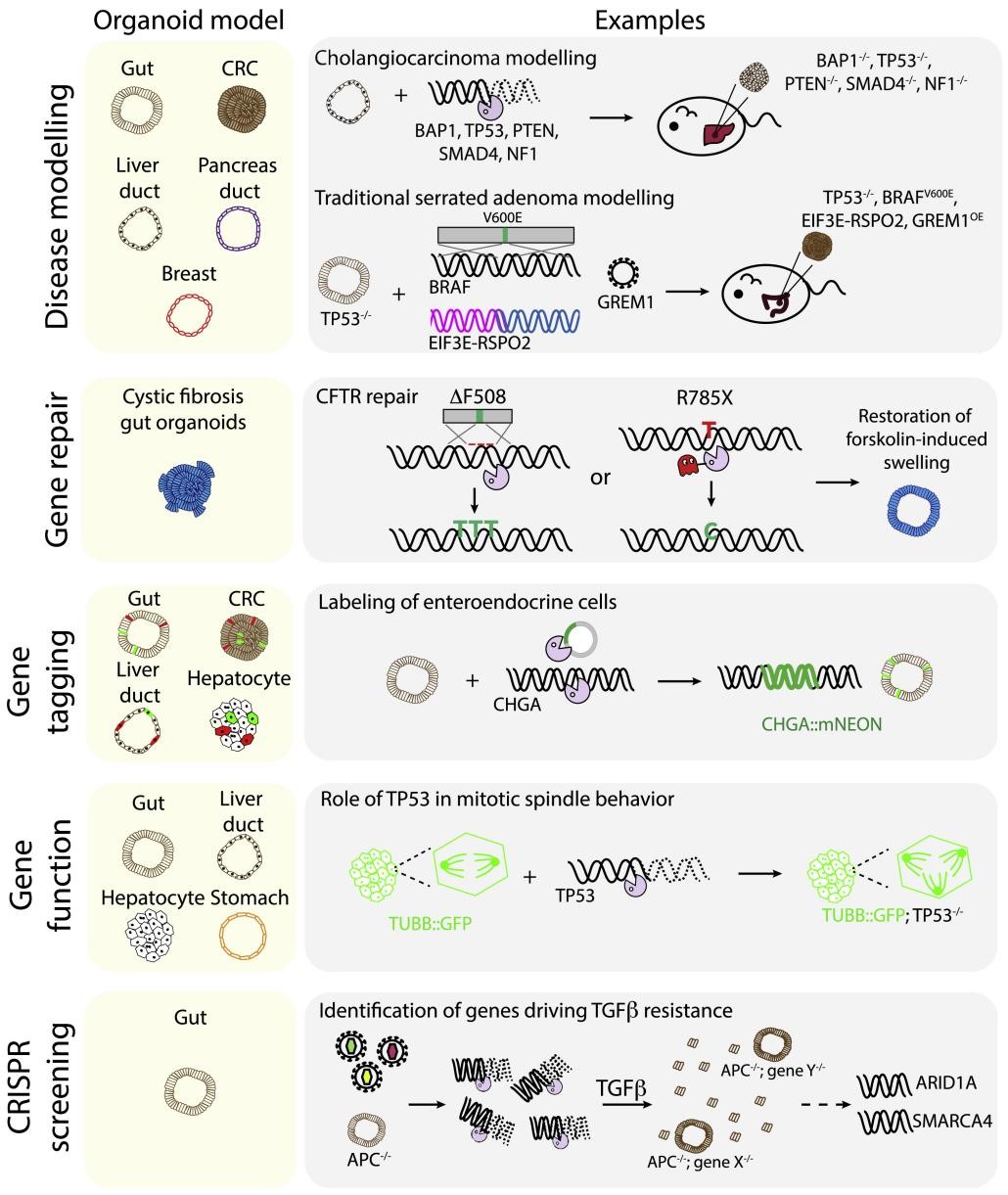 647448f04eb6d.jpg 1685342411704.jpg